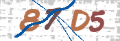 CAPTCHA 驗證圖片