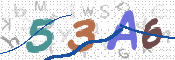 CAPTCHA 驗證圖片