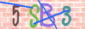 CAPTCHA 驗證圖片