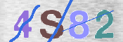 CAPTCHA 驗證圖片