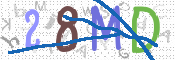 CAPTCHA 驗證圖片