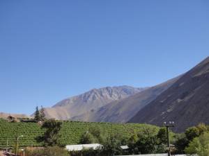 南北狹長的智利東倚安地斯山,西鄰南太平洋,車行間可見大型葡萄酒莊