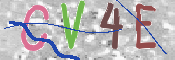 CAPTCHA 驗證圖片