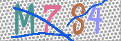 CAPTCHA 驗證圖片