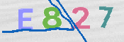 CAPTCHA 驗證圖片