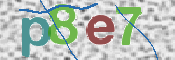 CAPTCHA 驗證圖片