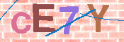 CAPTCHA 驗證圖片