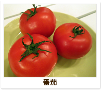 健康小叮嚀-番茄