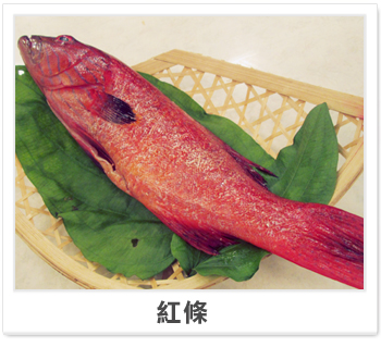 紅條魚