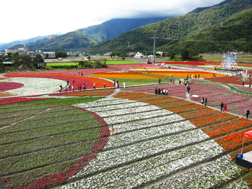 花海大景