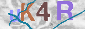 CAPTCHA 驗證圖片