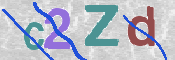 CAPTCHA 驗證圖片