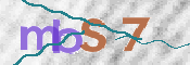 CAPTCHA 驗證圖片