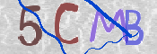 CAPTCHA 驗證圖片