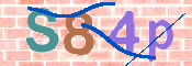 CAPTCHA 驗證圖片