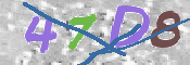 CAPTCHA 驗證圖片