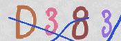 CAPTCHA 驗證圖片