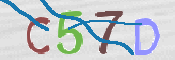 CAPTCHA 驗證圖片