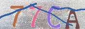 CAPTCHA 驗證圖片