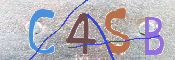CAPTCHA 驗證圖片