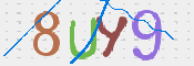 CAPTCHA 驗證圖片