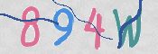 CAPTCHA 驗證圖片