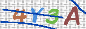 CAPTCHA 驗證圖片