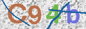 CAPTCHA 驗證圖片