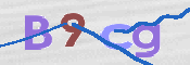 CAPTCHA 驗證圖片