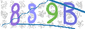 CAPTCHA 驗證圖片