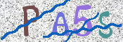 CAPTCHA 驗證圖片