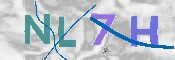 CAPTCHA 驗證圖片
