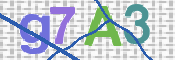 CAPTCHA 驗證圖片