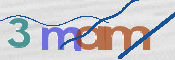 CAPTCHA 驗證圖片