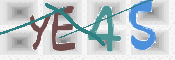 CAPTCHA 驗證圖片