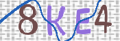 CAPTCHA 驗證圖片