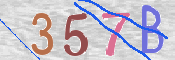 CAPTCHA 驗證圖片