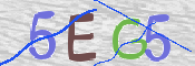 CAPTCHA 驗證圖片