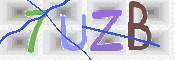 CAPTCHA 驗證圖片