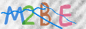 CAPTCHA 驗證圖片