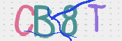 CAPTCHA 驗證圖片