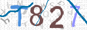 CAPTCHA 驗證圖片