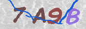 CAPTCHA 驗證圖片