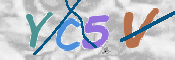 CAPTCHA 驗證圖片