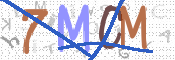 CAPTCHA 驗證圖片