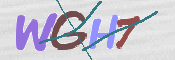 CAPTCHA 驗證圖片