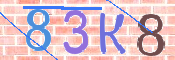 CAPTCHA 驗證圖片