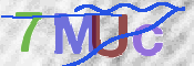 CAPTCHA 驗證圖片