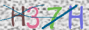 CAPTCHA 驗證圖片