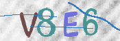 CAPTCHA 驗證圖片